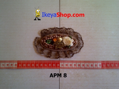 APM 8  large2